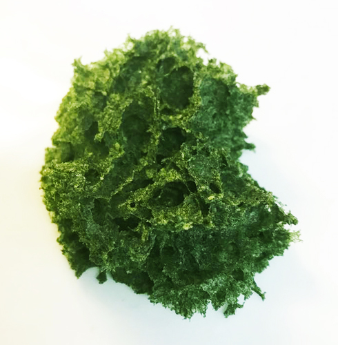 web_pane-chlorella2